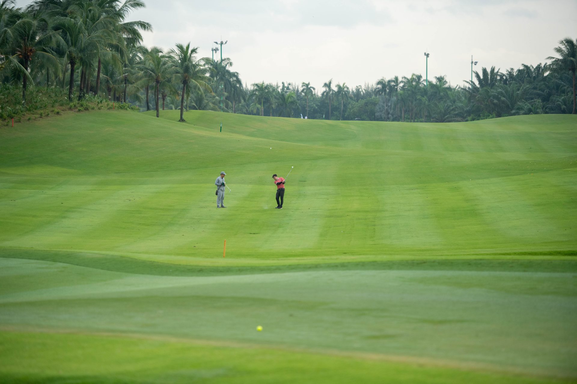 Sân tập golf